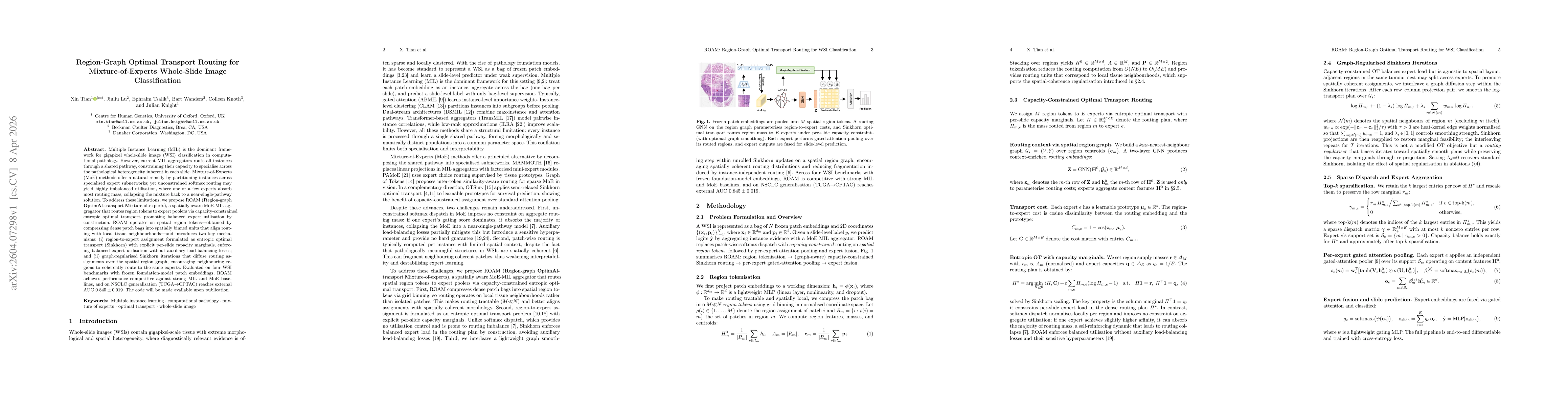 Thumbnail for Region-Graph Optimal Transport Routing for Mixture-of-Experts Whole-Slide Image Classification