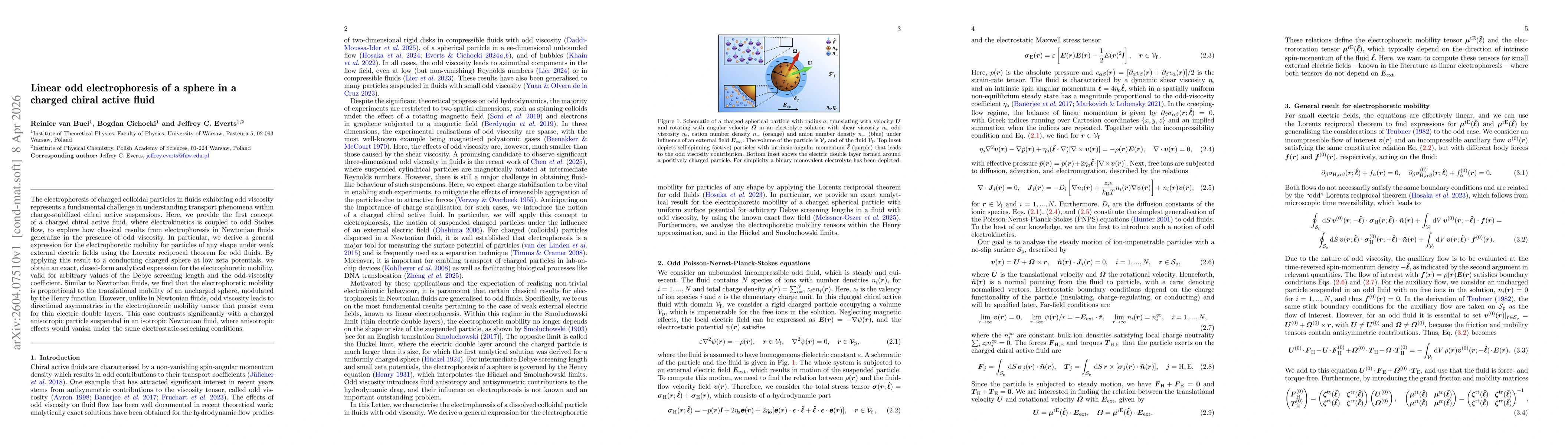 Thumbnail for Linear odd electrophoresis of a sphere in a charged chiral active fluid