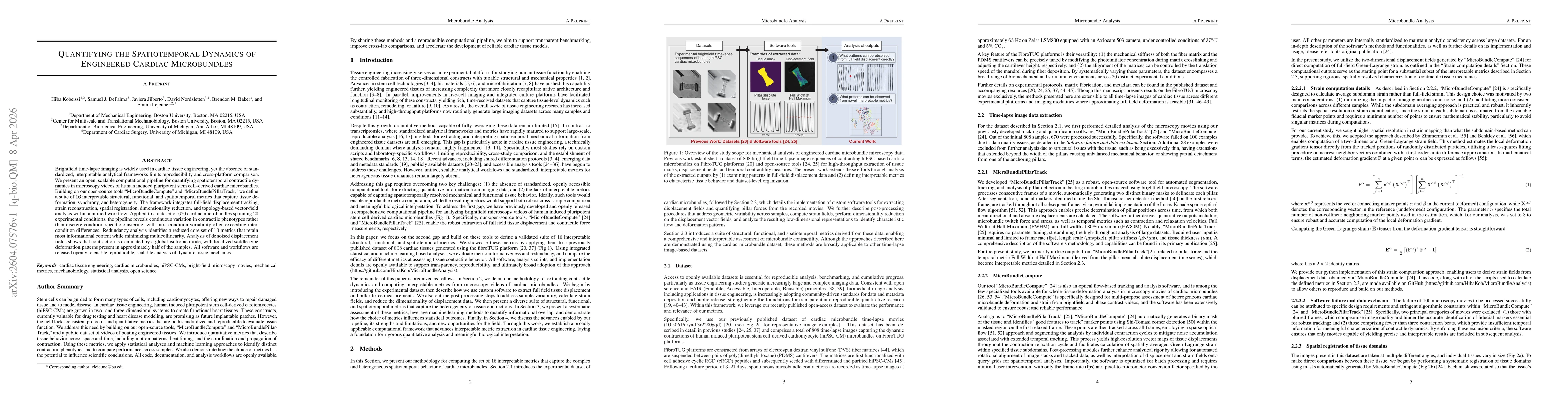 Thumbnail for Quantifying the Spatiotemporal Dynamics of Engineered Cardiac Microbundles