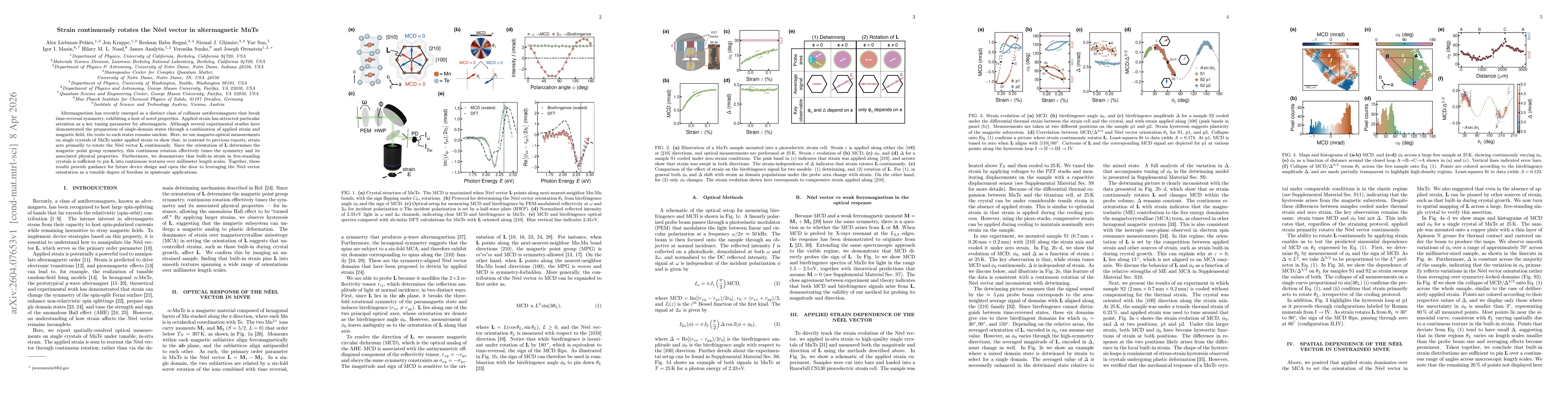 Thumbnail for Strain continuously rotates the Néel vector in altermagnetic MnTe