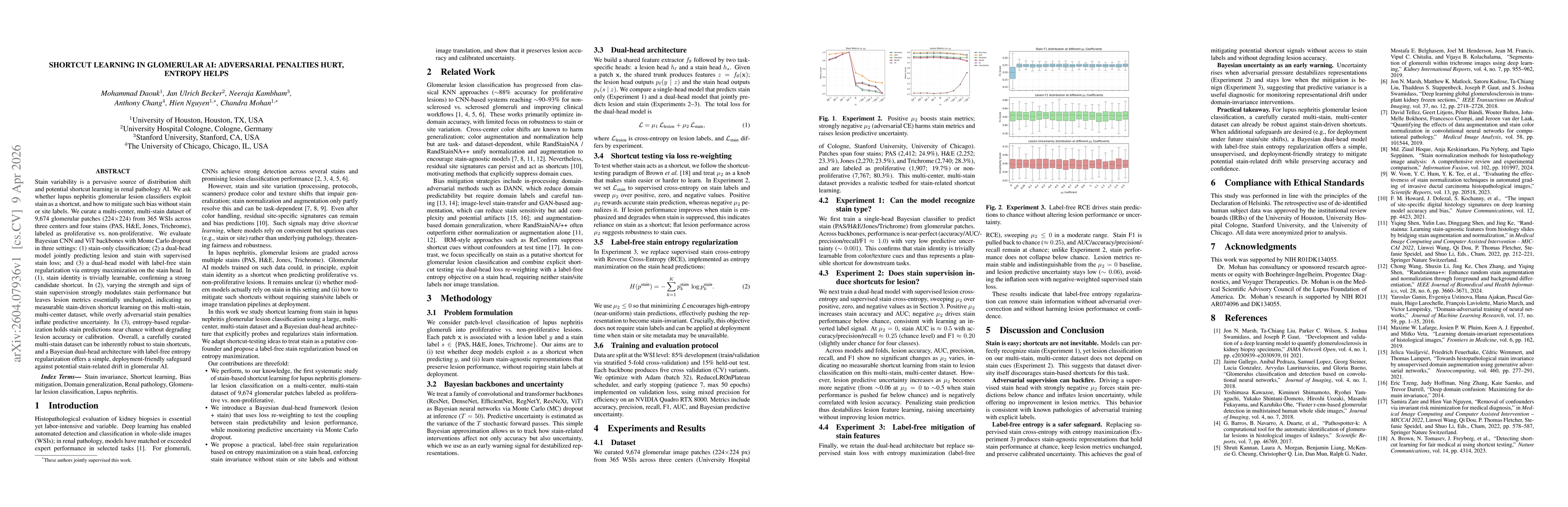 Thumbnail for Shortcut Learning in Glomerular AI: Adversarial Penalties Hurt, Entropy Helps