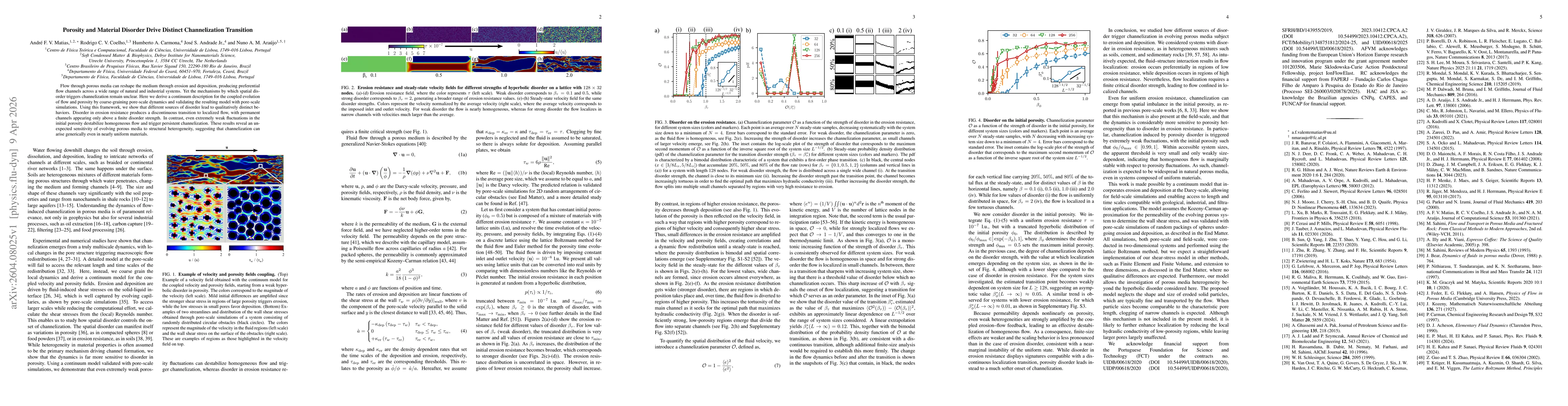 Thumbnail for Porosity and Material Disorder Drive Distinct Channelization Transition
