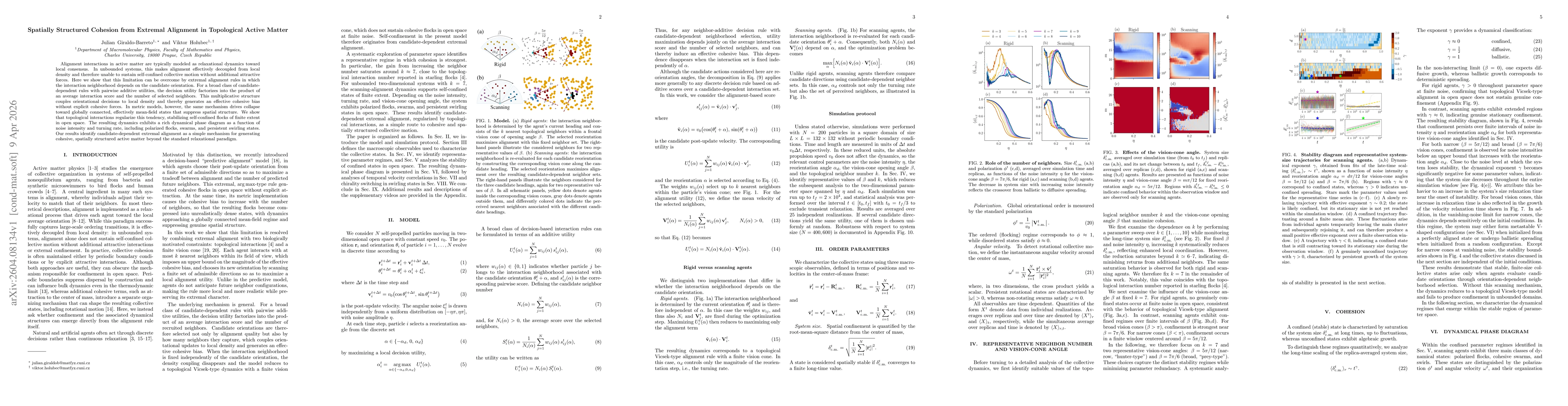 Thumbnail for Spatially Structured Cohesion from Extremal Alignment in Topological Active Matter