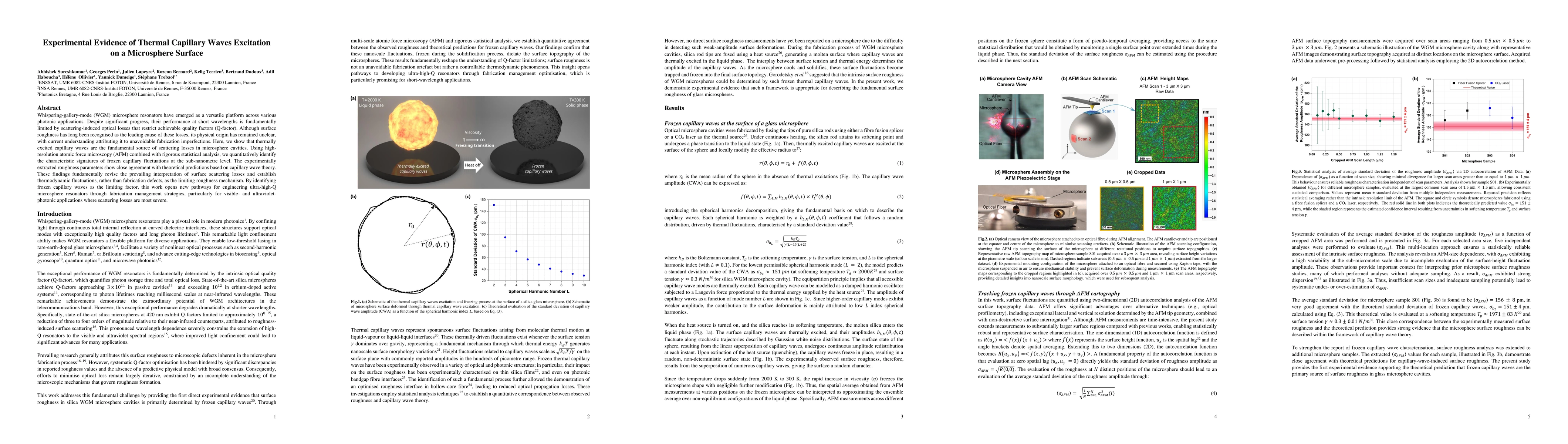 Thumbnail for Experimental Evidence of Thermal Capillary Waves Excitation on a Microsphere Surface