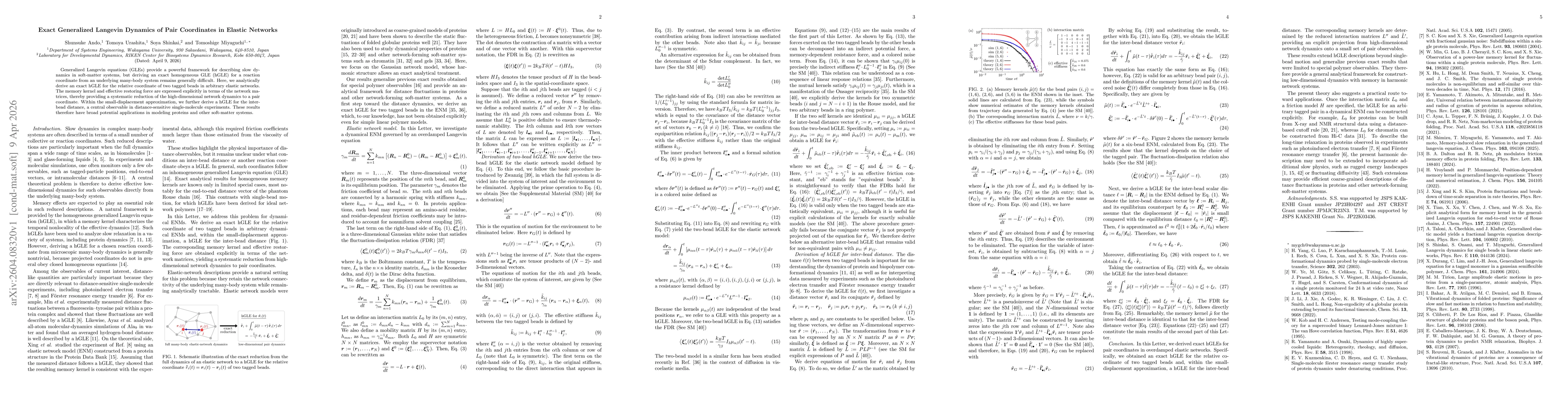 Thumbnail for Exact Generalized Langevin Dynamics of Pair Coordinates in Elastic Networks