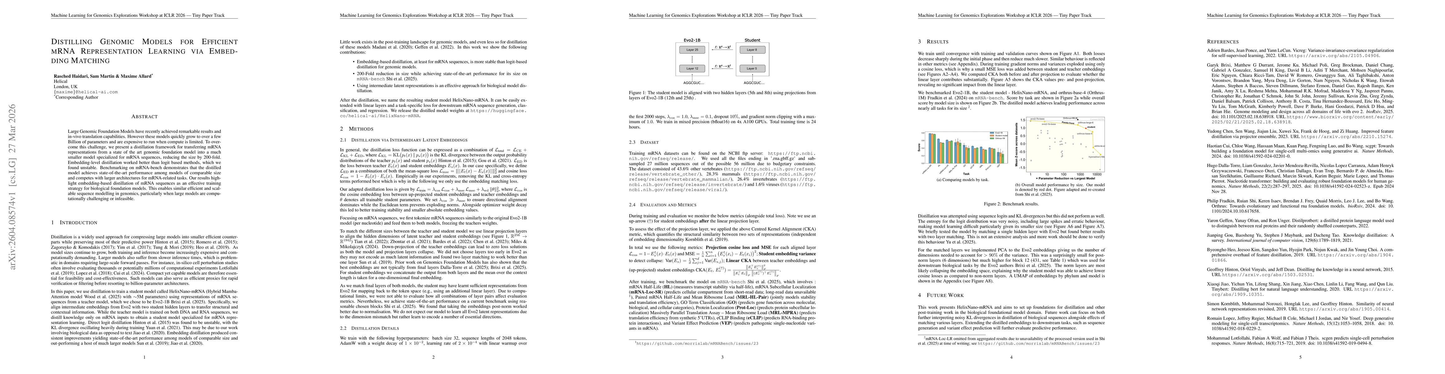 Thumbnail for Distilling Genomic Models for Efficient mRNA Representation Learning via Embedding Matching