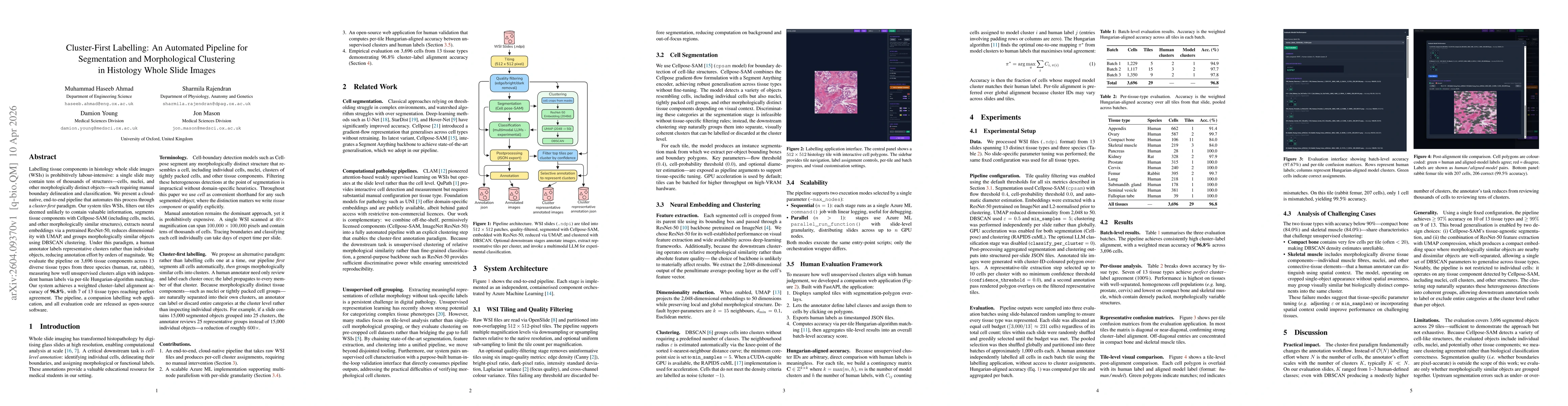 Thumbnail for Cluster-First Labelling: An Automated Pipeline for Segmentation and Morphological Clustering in Histology Whole Slide Images