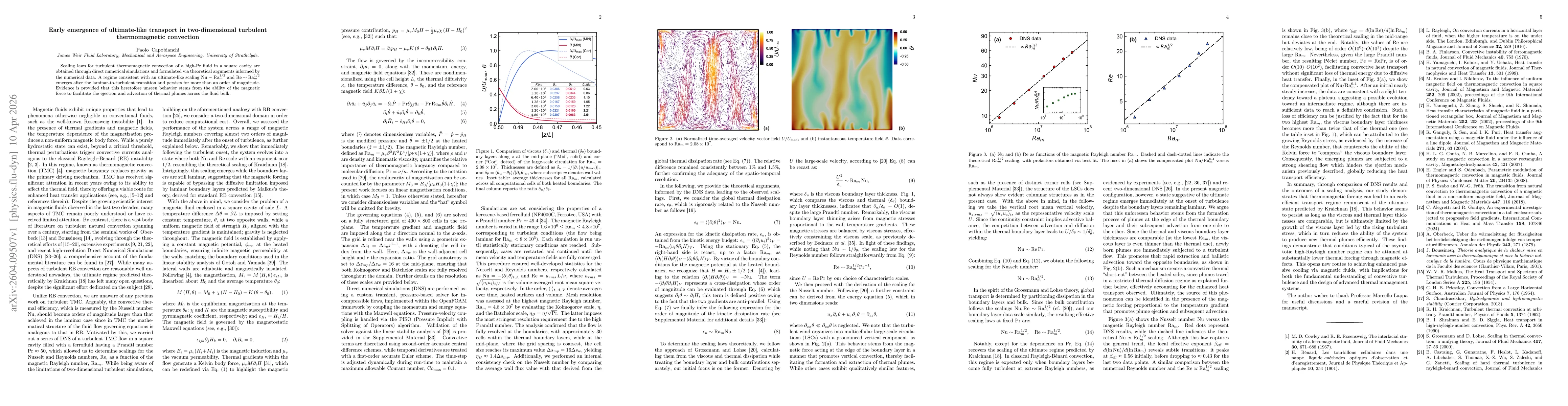Thumbnail for Early emergence of ultimate-like transport in two-dimensional turbulent thermomagnetic convection
