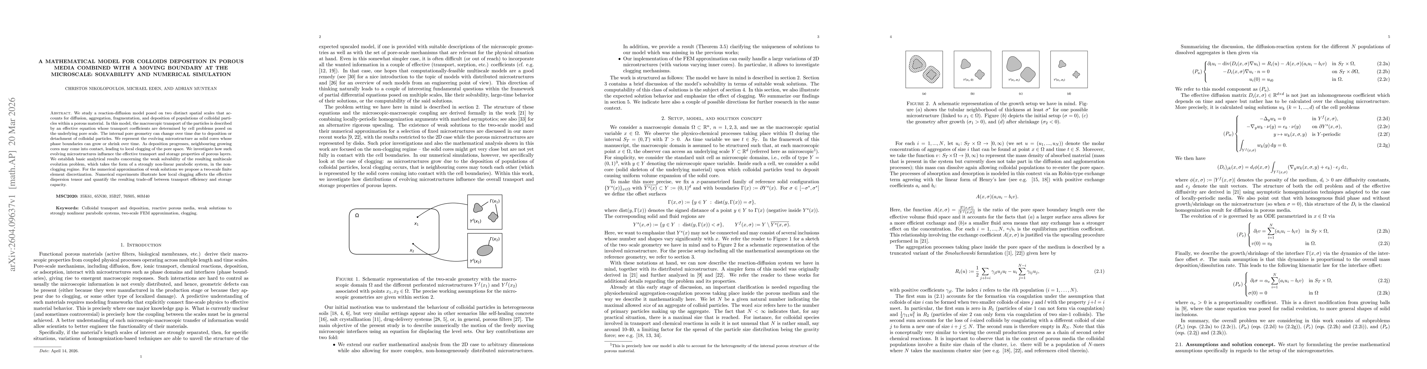 Thumbnail for A mathematical model for colloids deposition in porous media combined with a moving boundary at the microscale: Solvability and numerical simulation