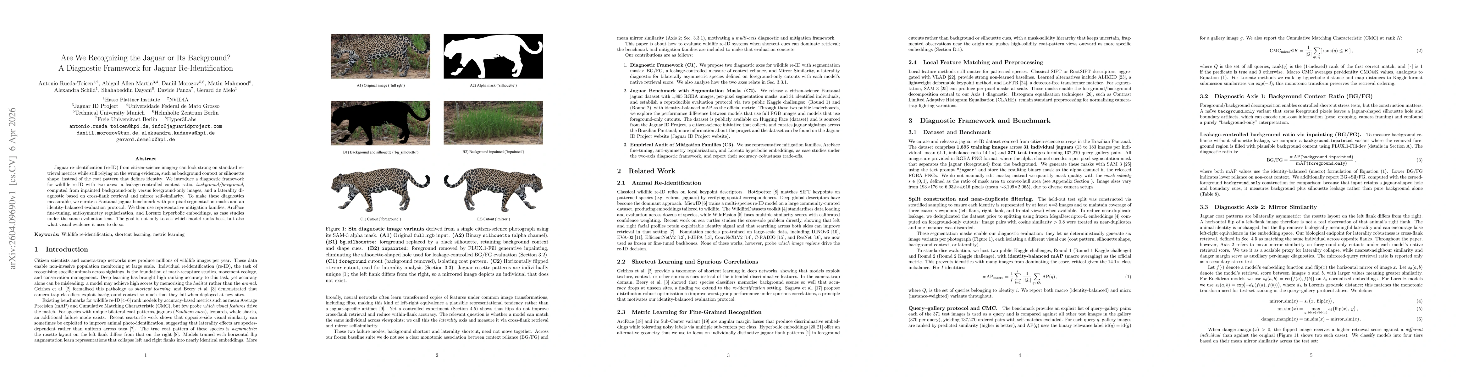Thumbnail for Are We Recognizing the Jaguar or Its Background? A Diagnostic Framework for Jaguar Re-Identification
