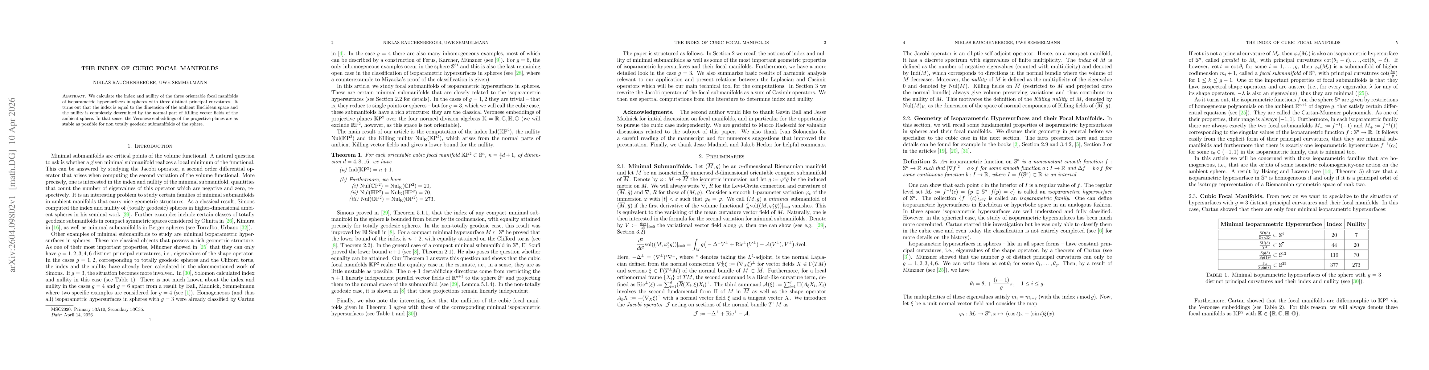 Thumbnail for The index of cubic focal manifolds