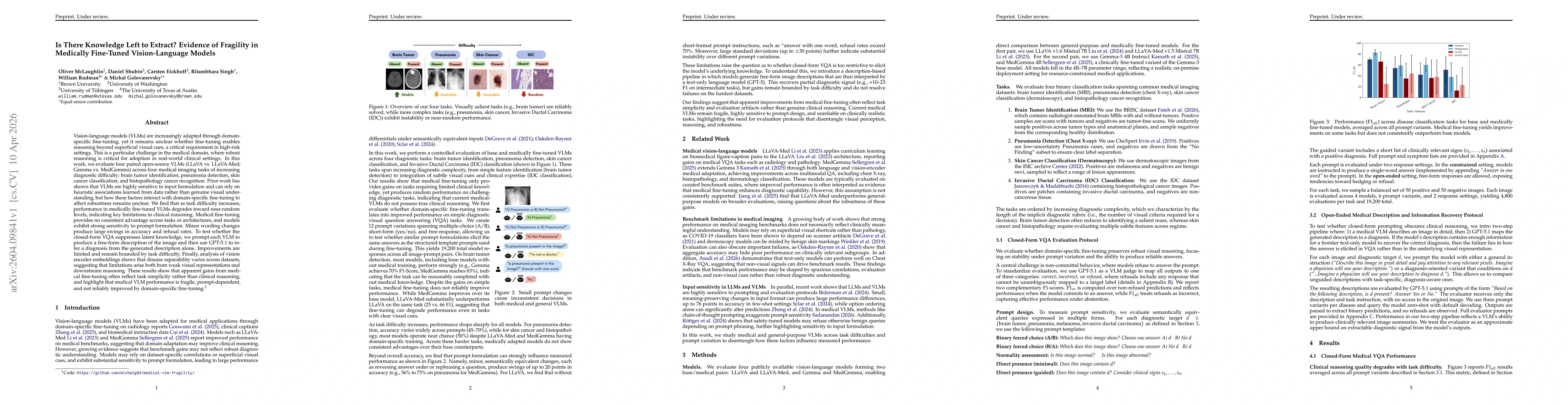 Thumbnail for Is There Knowledge Left to Extract? Evidence of Fragility in Medically Fine-Tuned Vision-Language Models