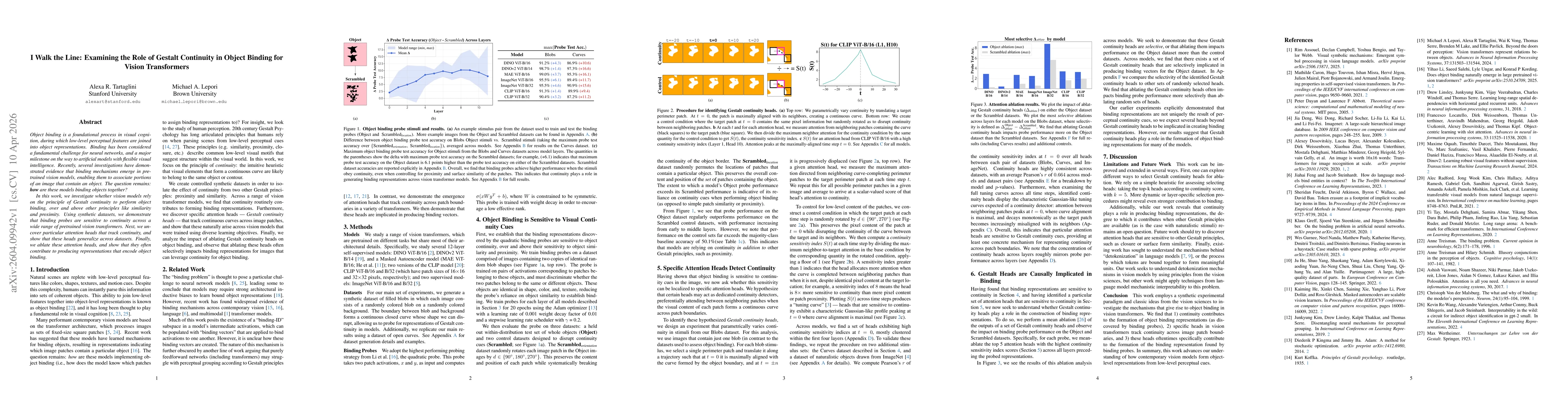 Thumbnail for I Walk the Line: Examining the Role of Gestalt Continuity in Object Binding for Vision Transformers