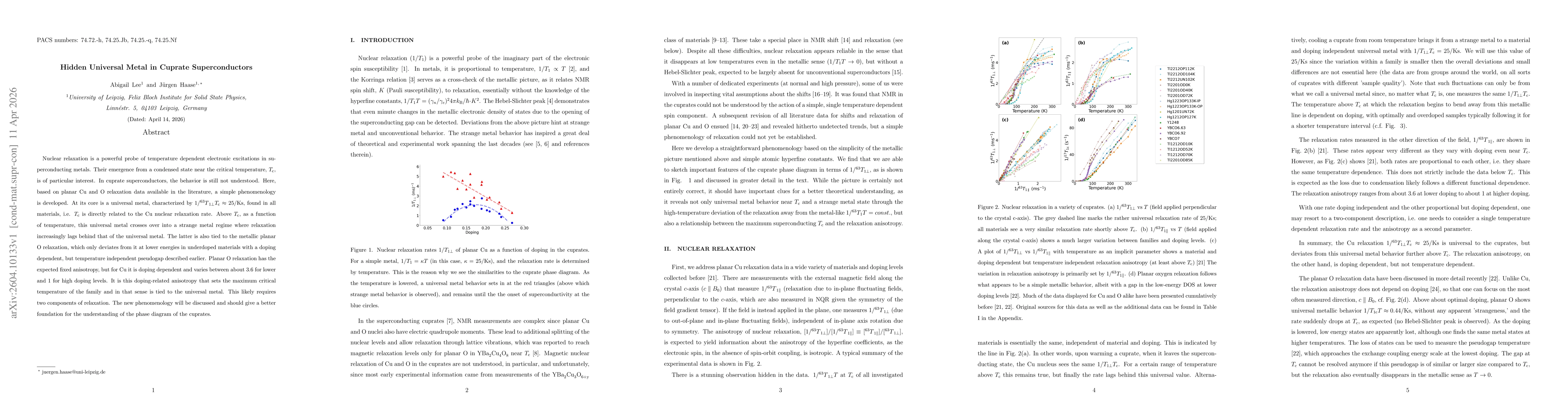 Thumbnail for Hidden Universal Metal in Cuprate Superconductors