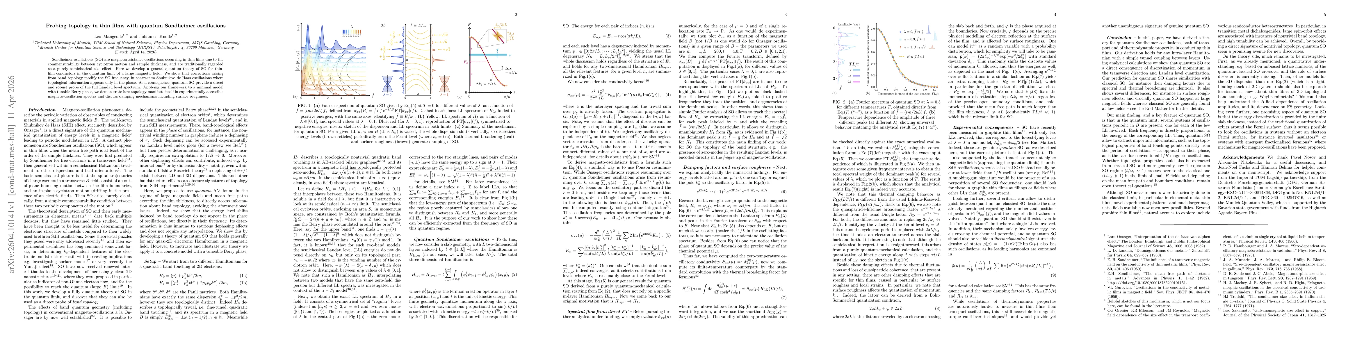 Thumbnail for Probing topology in thin films with quantum Sondheimer oscillations
