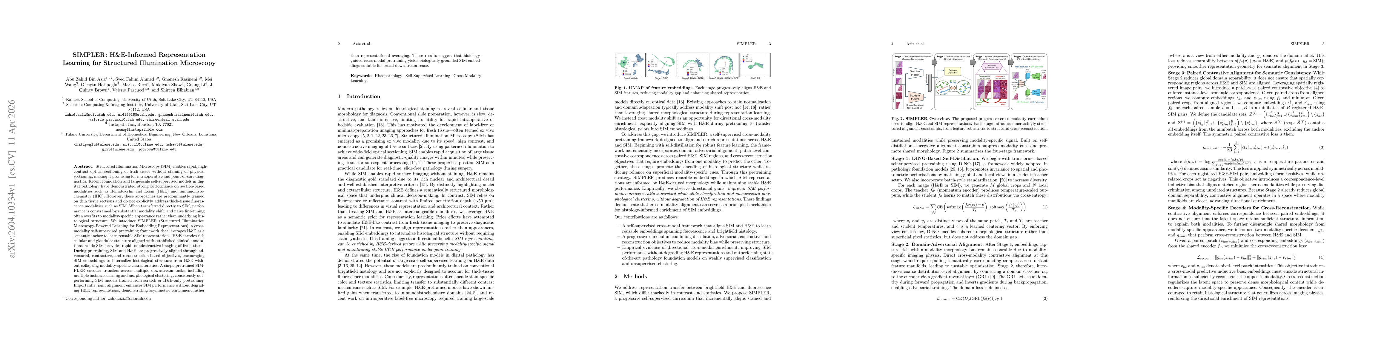 Thumbnail for SIMPLER: H&E-Informed Representation Learning for Structured Illumination Microscopy