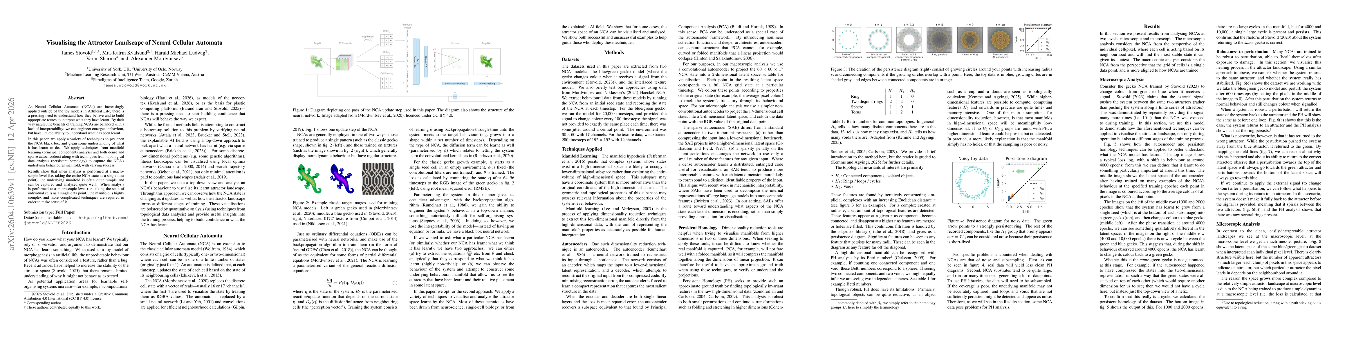 Thumbnail for Visualising the Attractor Landscape of Neural Cellular Automata