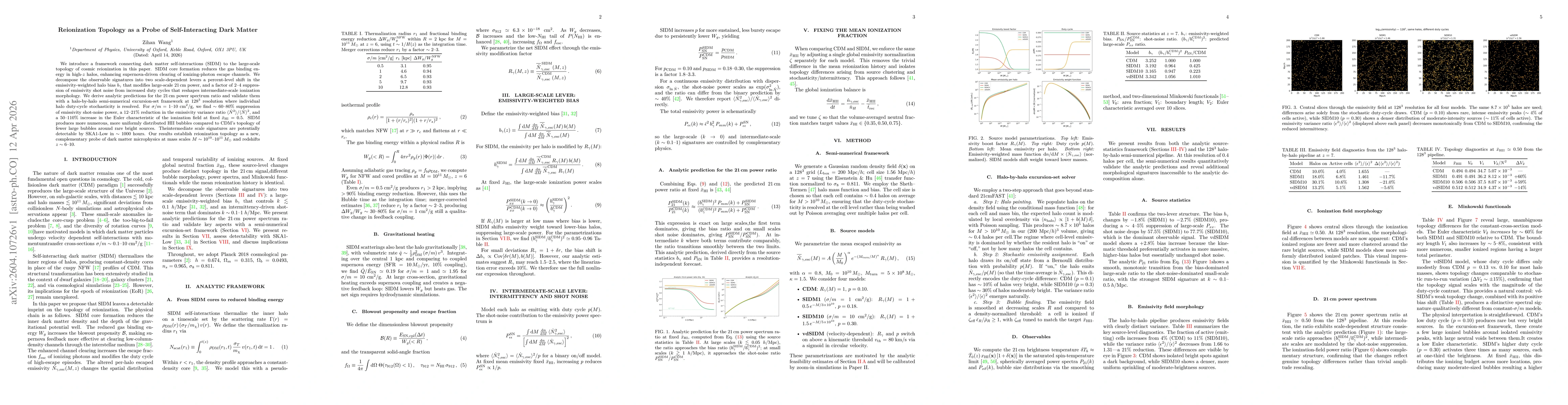 Thumbnail for Reionization Topology as a Probe of Self-Interacting Dark Matter