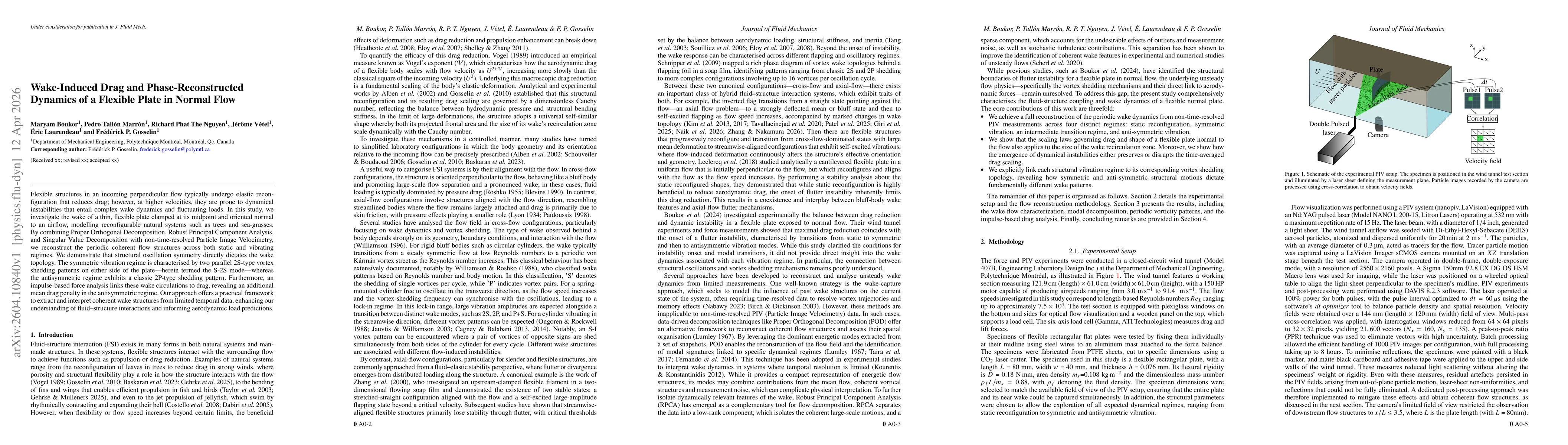 Thumbnail for Wake-Induced Drag and Phase-Reconstructed Dynamics of a Flexible Plate in Normal Flow