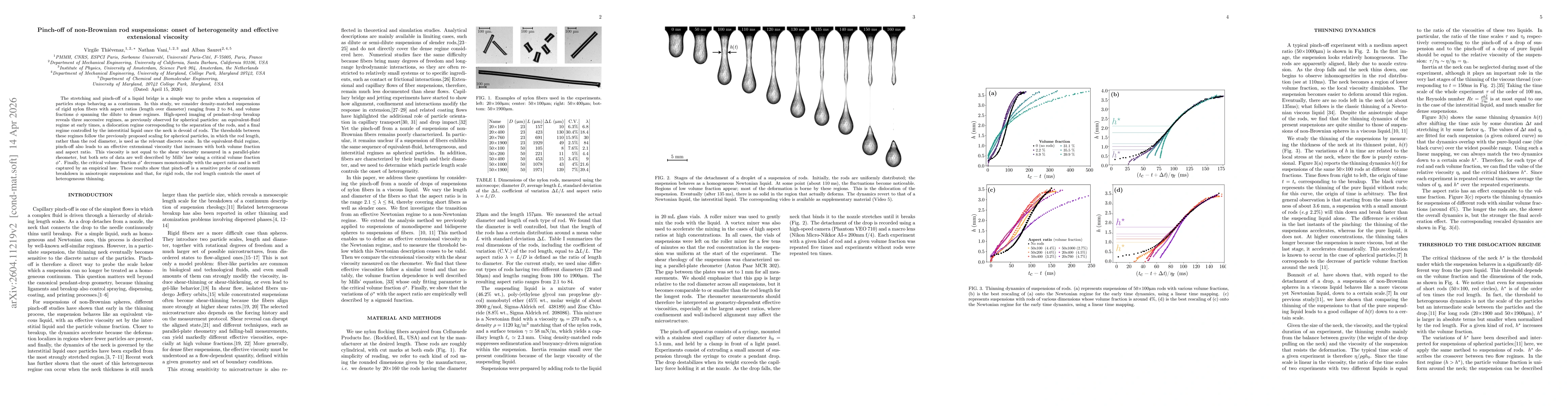 Thumbnail for Pinch-off of non-Brownian rod suspensions: onset of heterogeneity and effective extensional viscosity