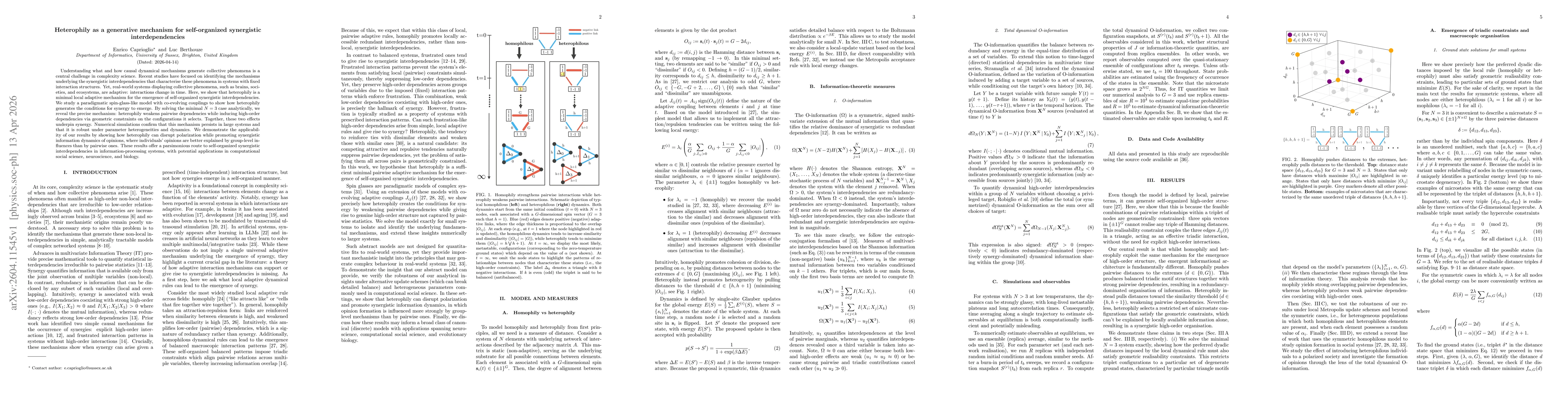 Thumbnail for Heterophily as a generative mechanism for self-organized synergistic interdependencies