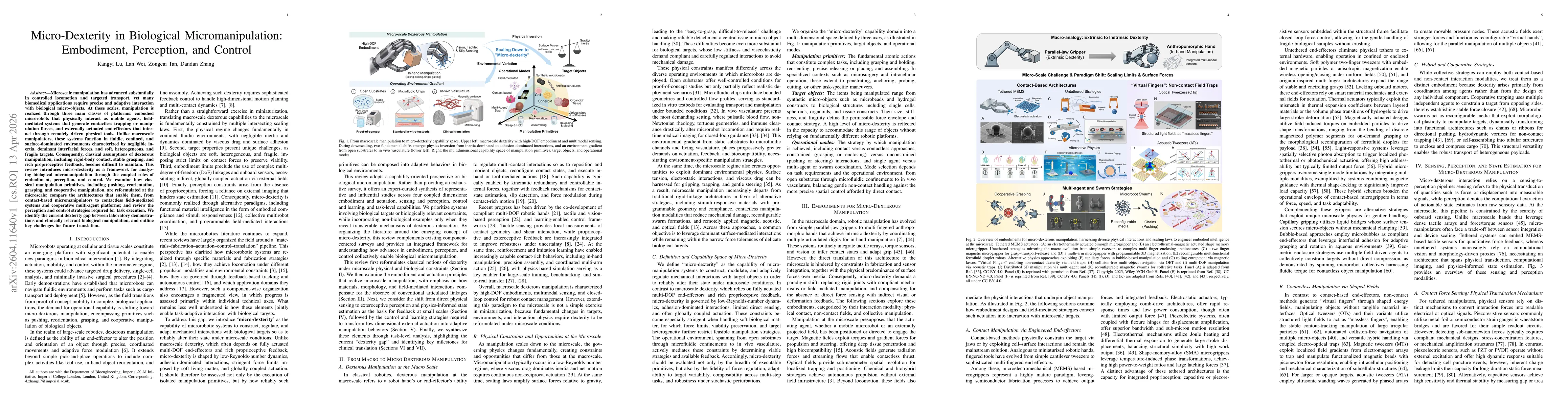 Thumbnail for Micro-Dexterity in Biological Micromanipulation: Embodiment, Perception, and Control