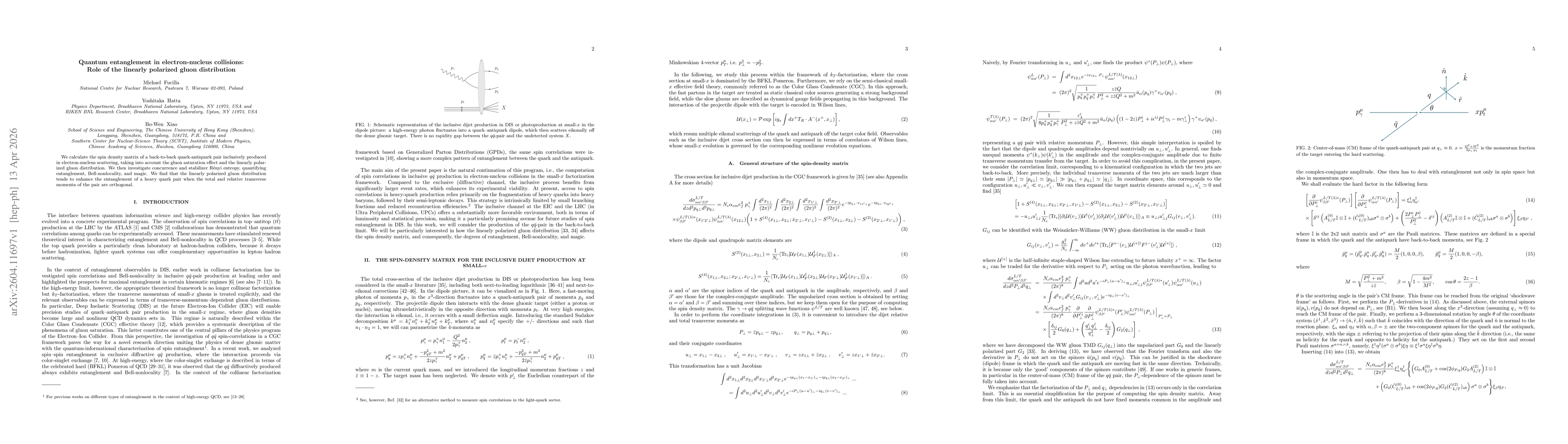 Thumbnail for Quantum entanglement in electron-nucleus collisions: Role of the linearly polarized gluon distribution