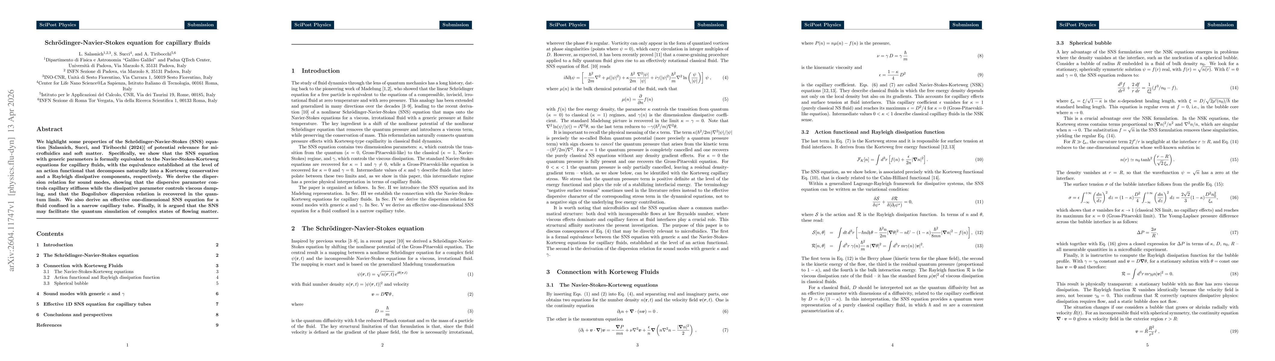 Thumbnail for Schrödinger-Navier-Stokes equation for capillary fluids
