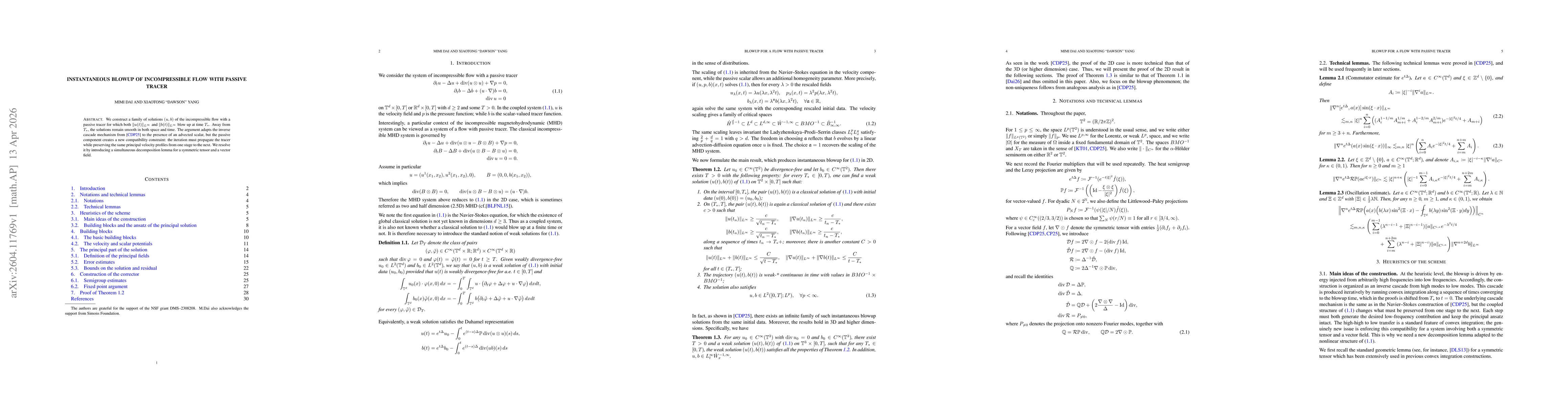 Thumbnail for Instantaneous blowup of incompressible flow with passive tracer