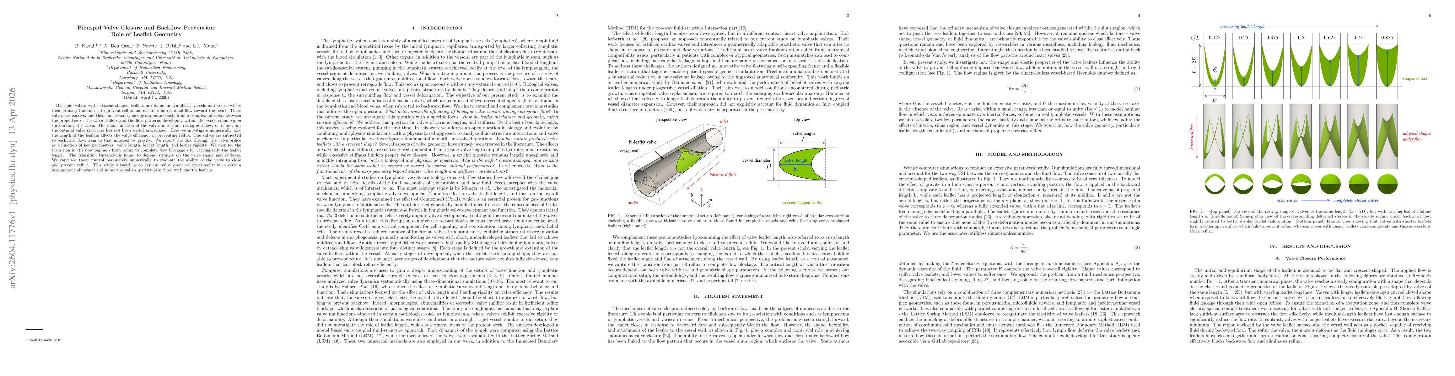 Thumbnail for Bicuspid Valve Closure and Backflow Prevention: Role of Leaflet Geometry