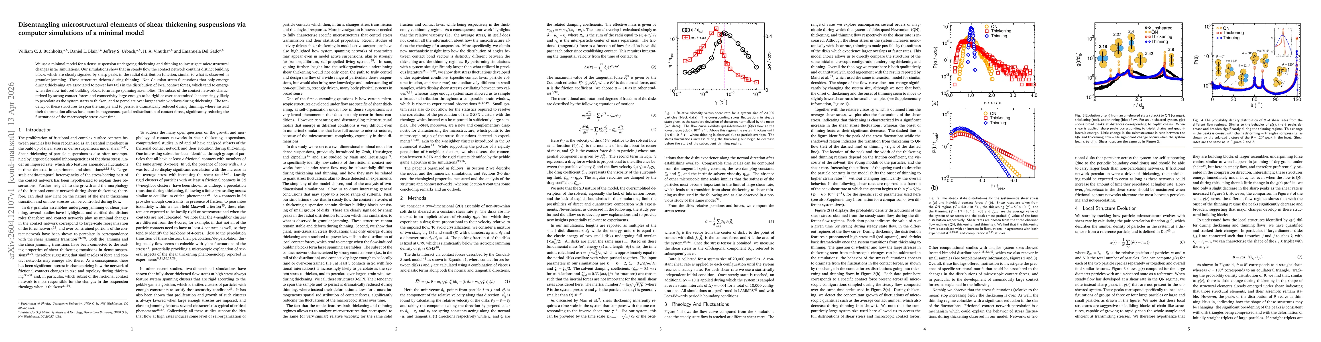 Thumbnail for Disentangling microstructural elements of shear thickening suspensions via computer simulations of a minimal model