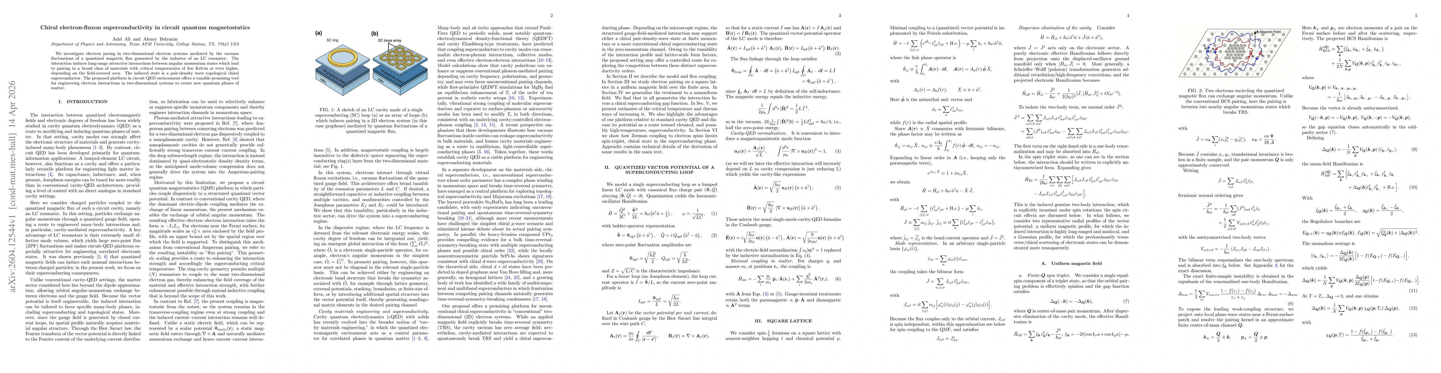 Thumbnail for Chiral electron-fluxon superconductivity in circuit quantum magnetostatics