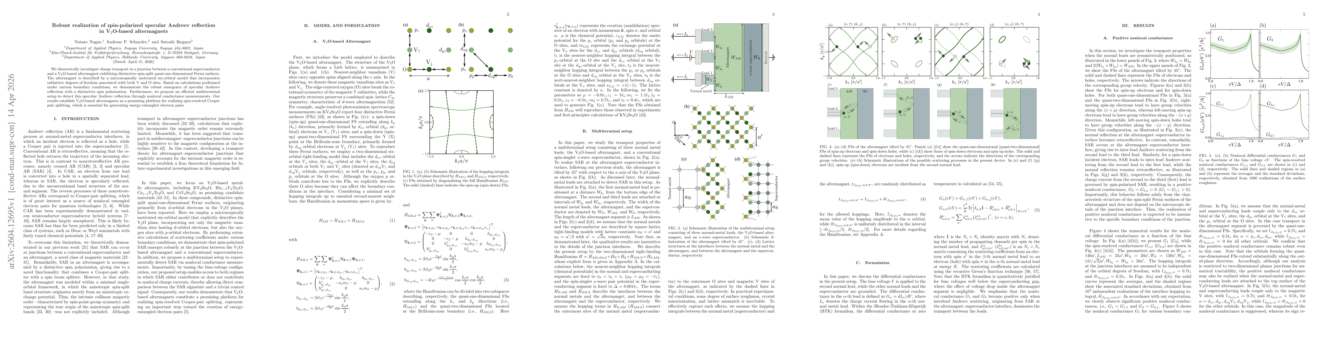 Thumbnail for Robust realization of spin-polarized specular Andreev reflection in V$_2$O-based altermagnets