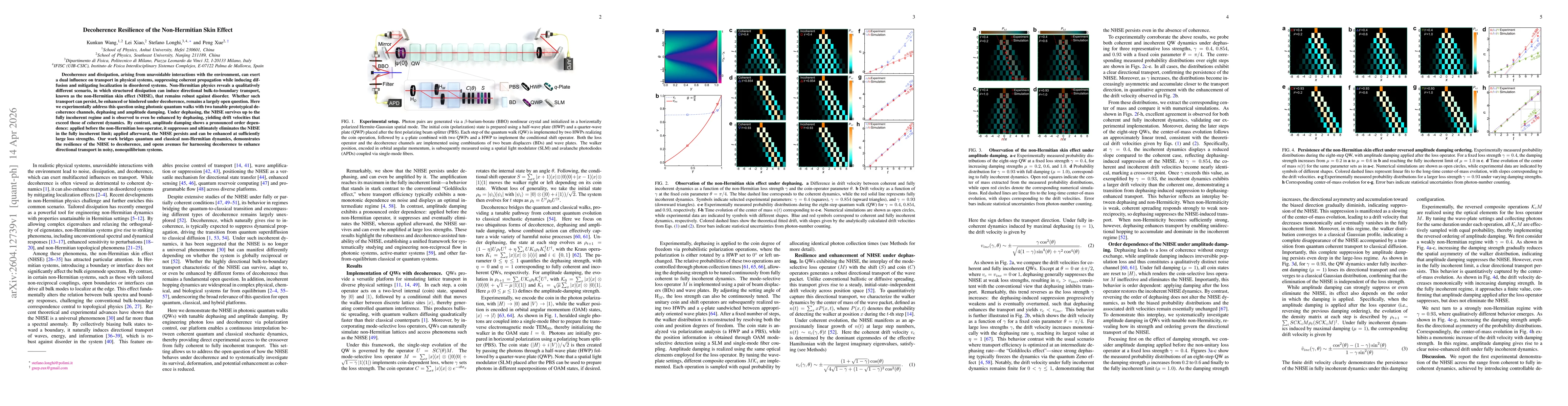 Thumbnail for Decoherence Resilience of the Non-Hermitian Skin Effect