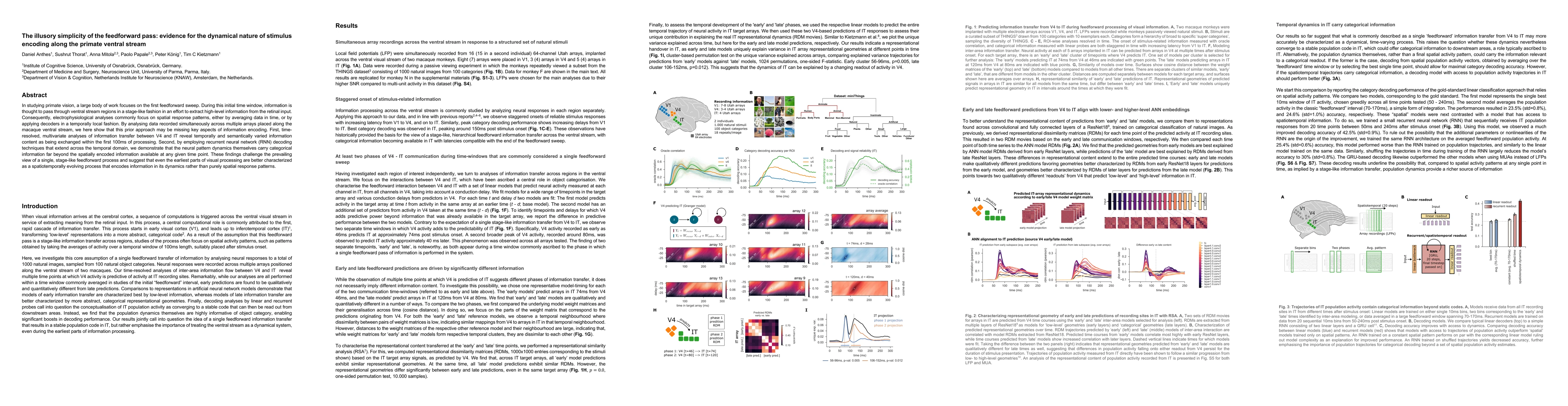 Thumbnail for The illusory simplicity of the feedforward pass: evidence for the dynamical nature of stimulus encoding along the primate ventral stream