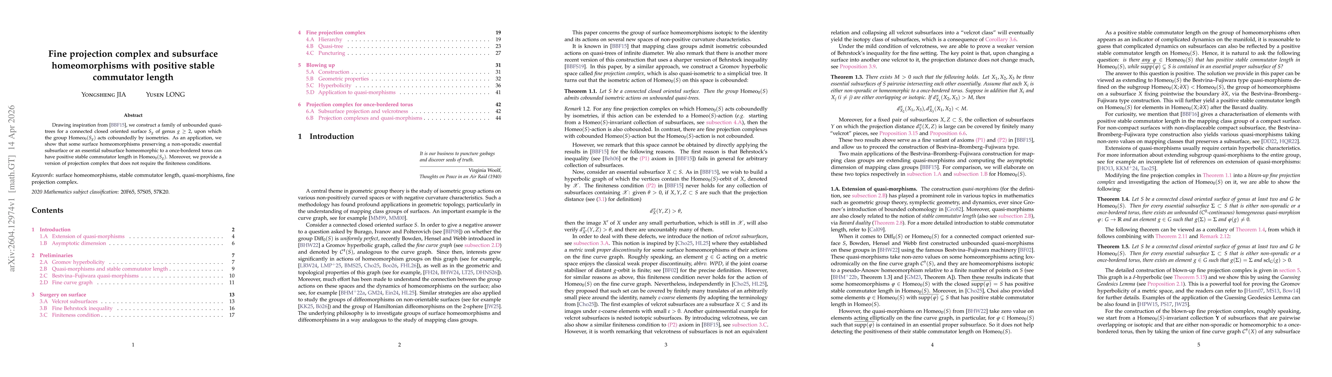 Thumbnail for Fine projection complex and subsurface homeomorphisms with positive stable commutator length