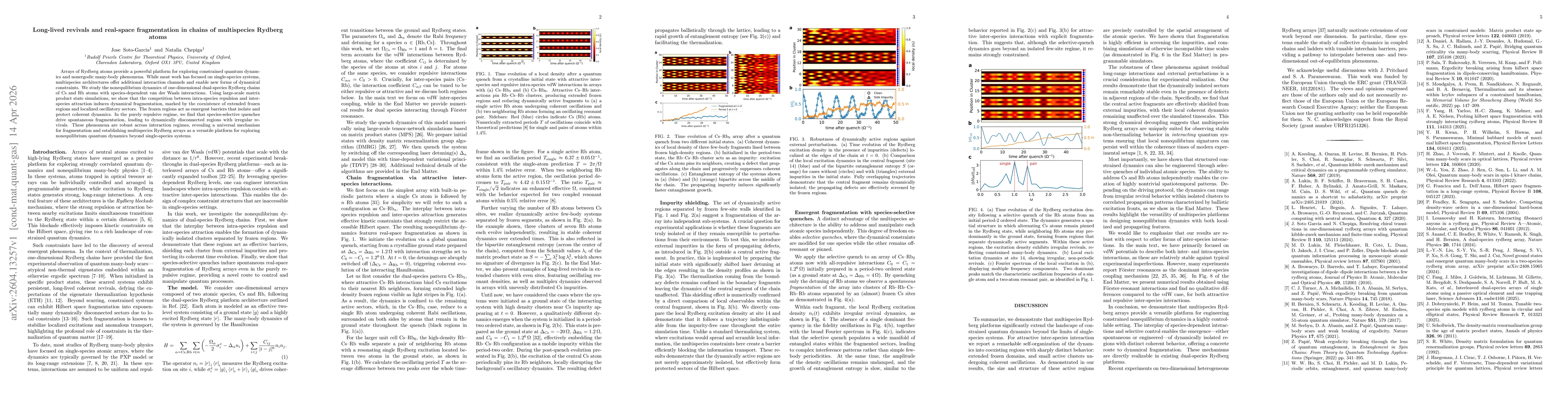Thumbnail for Long-lived revivals and real-space fragmentation in chains of multispecies Rydberg atoms