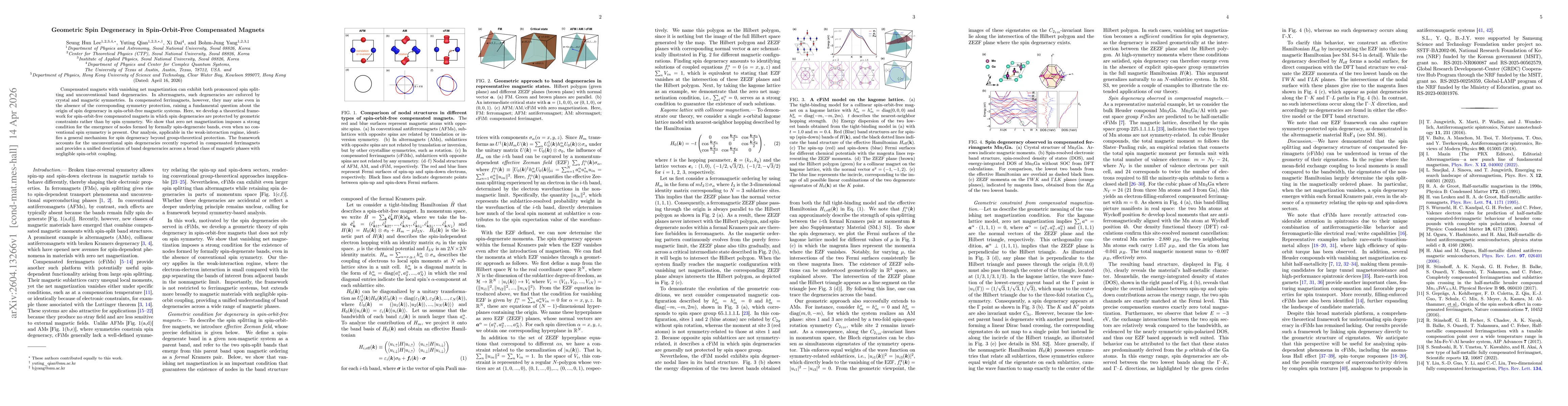 Thumbnail for Geometric Spin Degeneracy in Spin-Orbit-Free Compensated Magnets