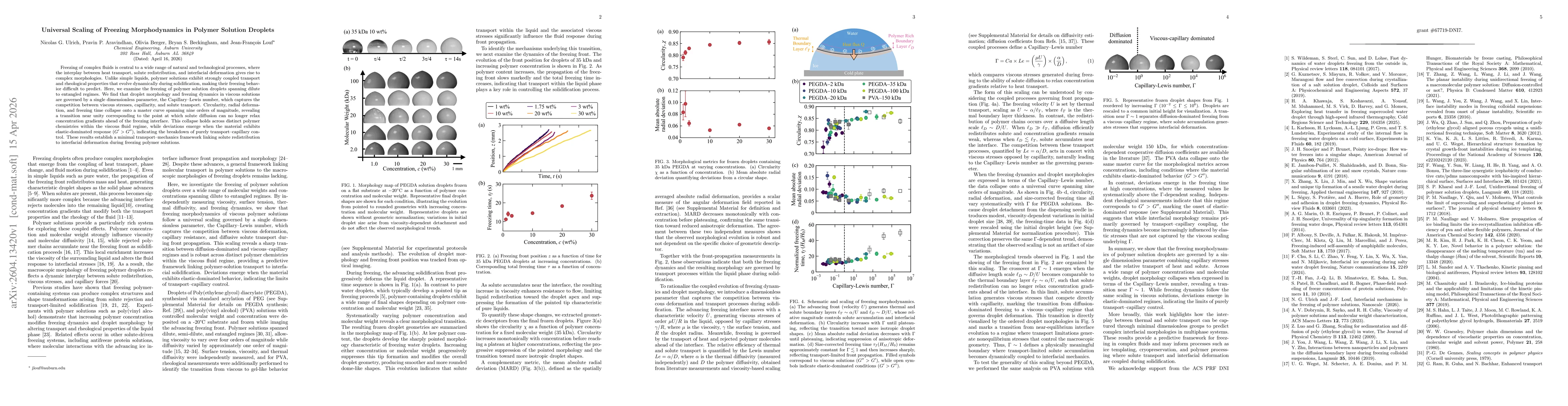 Thumbnail for Universal Scaling of Freezing Morphodynamics in Polymer Solution Droplets