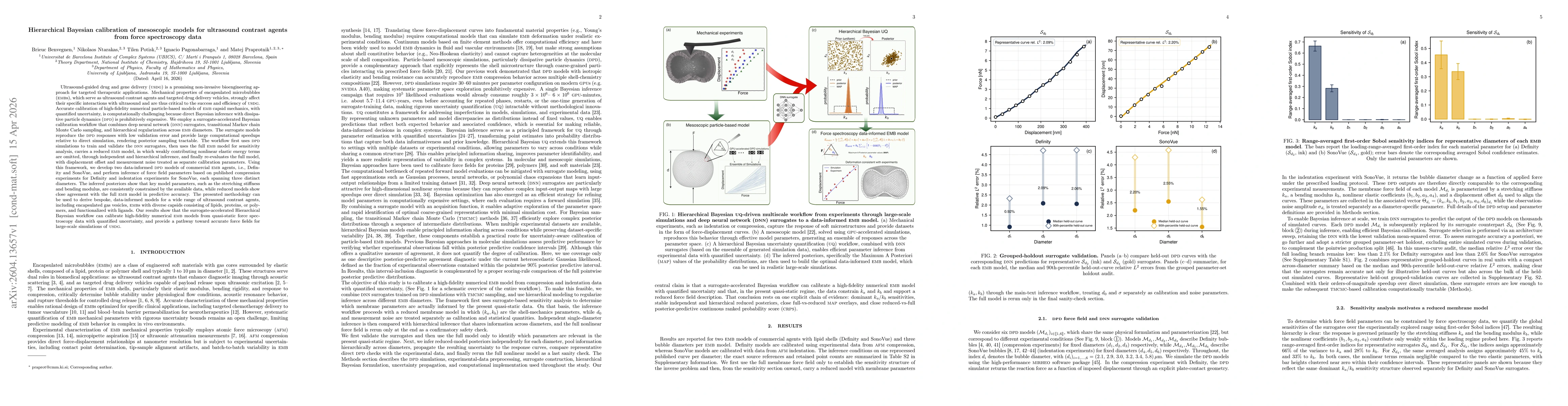 Thumbnail for Hierarchical Bayesian calibration of mesoscopic models for ultrasound contrast agents from force spectroscopy data