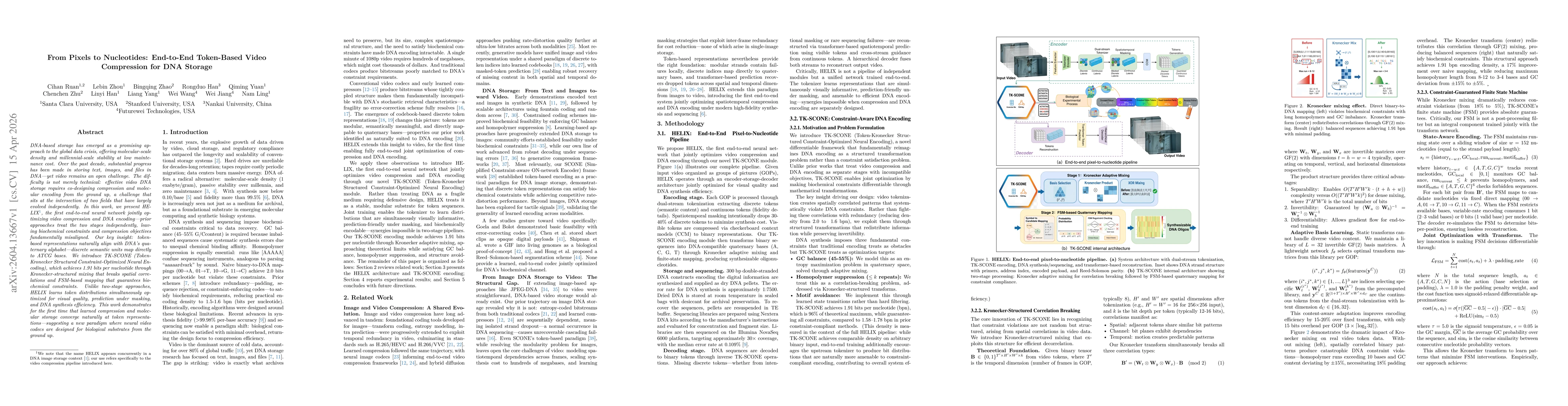 Thumbnail for From Pixels to Nucleotides: End-to-End Token-Based Video Compression for DNA Storage