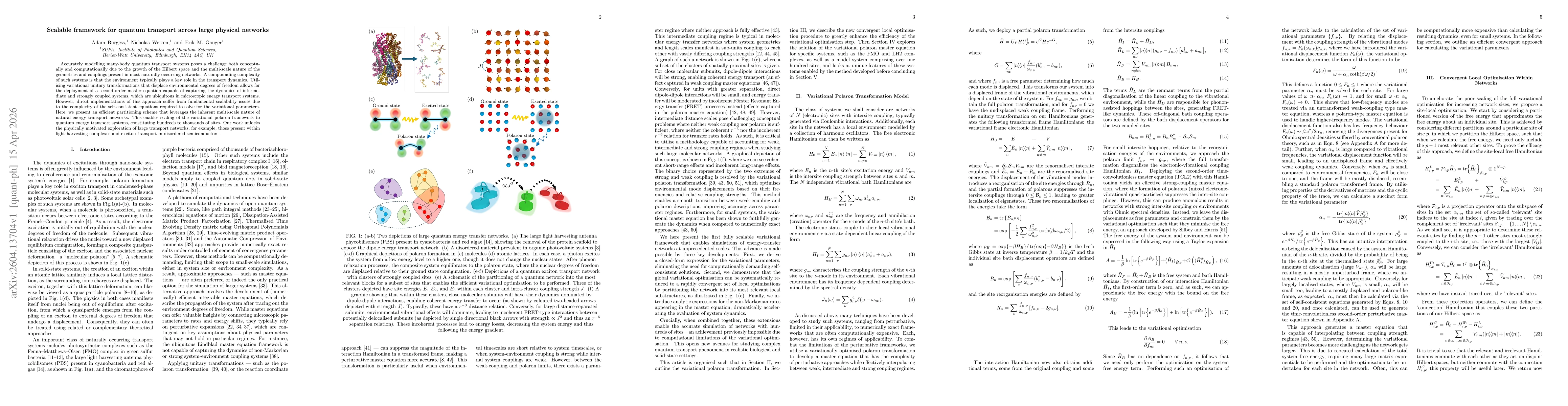 Thumbnail for Scalable framework for quantum transport across large physical networks