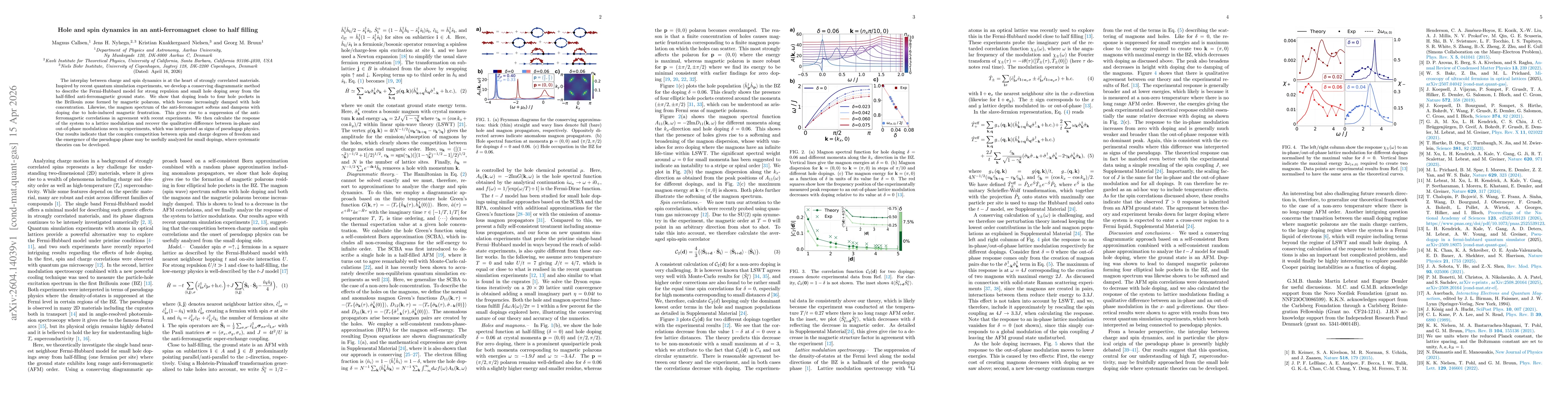 Thumbnail for Hole and spin dynamics in an anti-ferromagnet close to half filling