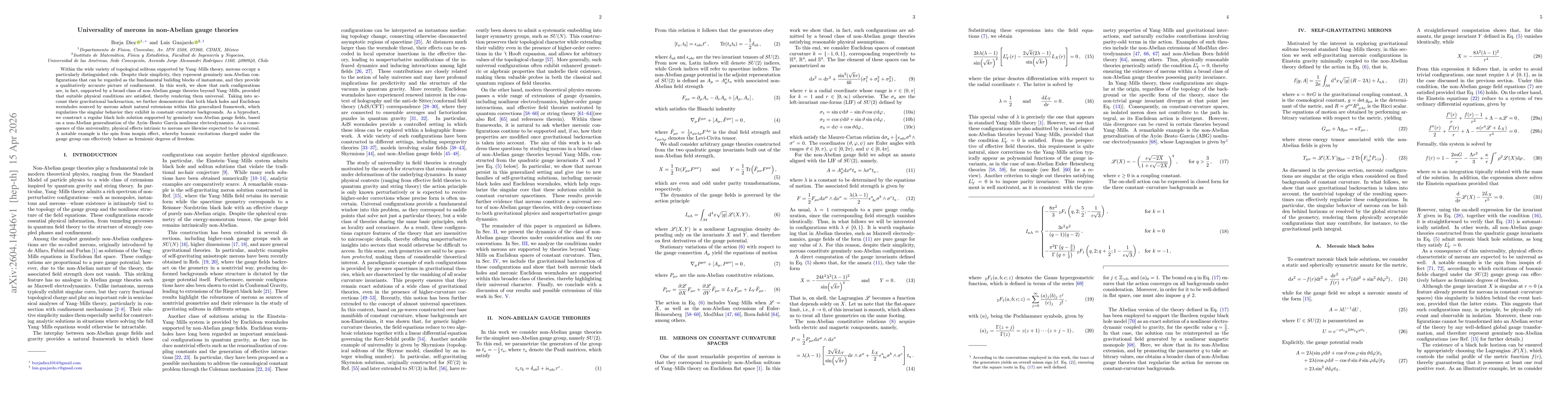 Thumbnail for Universality of merons in non-Abelian gauge theories