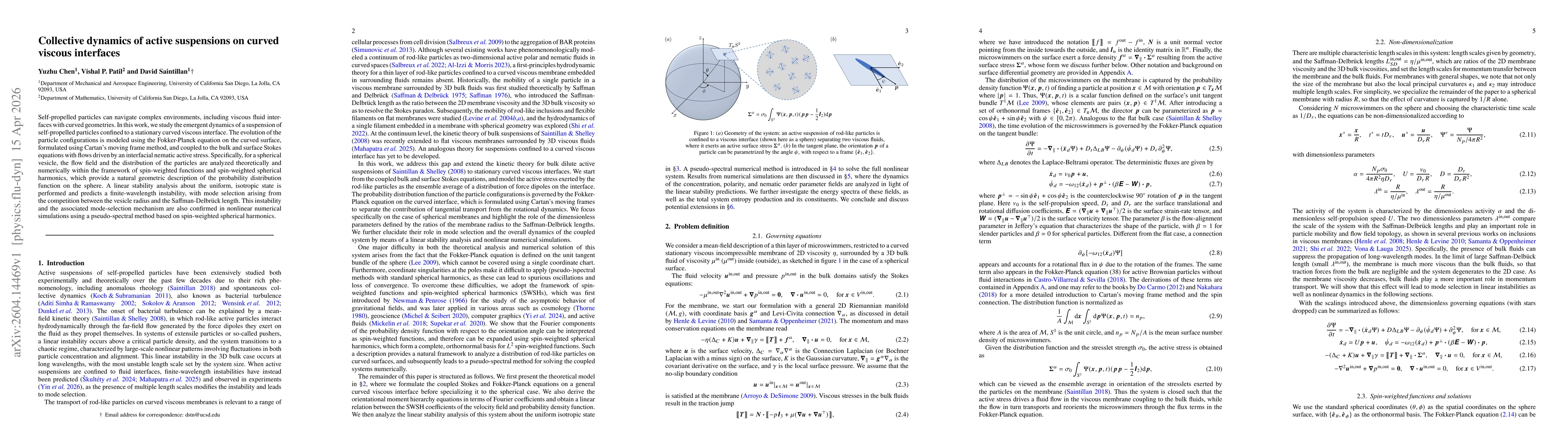 Thumbnail for Collective dynamics of active suspensions on curved viscous interfaces