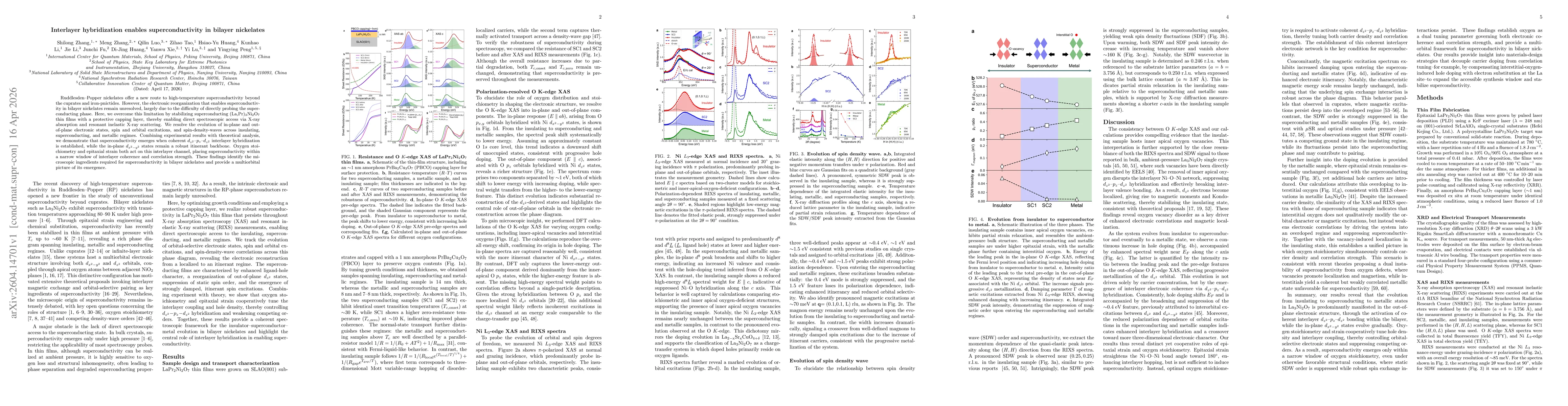 Thumbnail for Interlayer hybridization enables superconductivity in bilayer nickelates