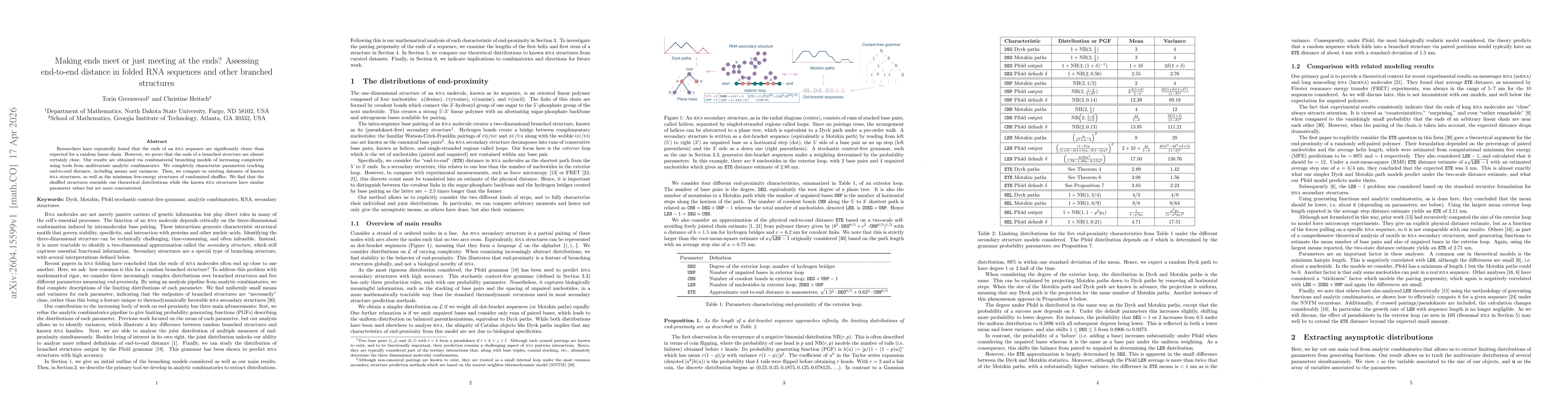 Thumbnail for Making ends meet or just meeting at the ends? Assessing end-to-end distance in folded RNA sequences and other branched structures