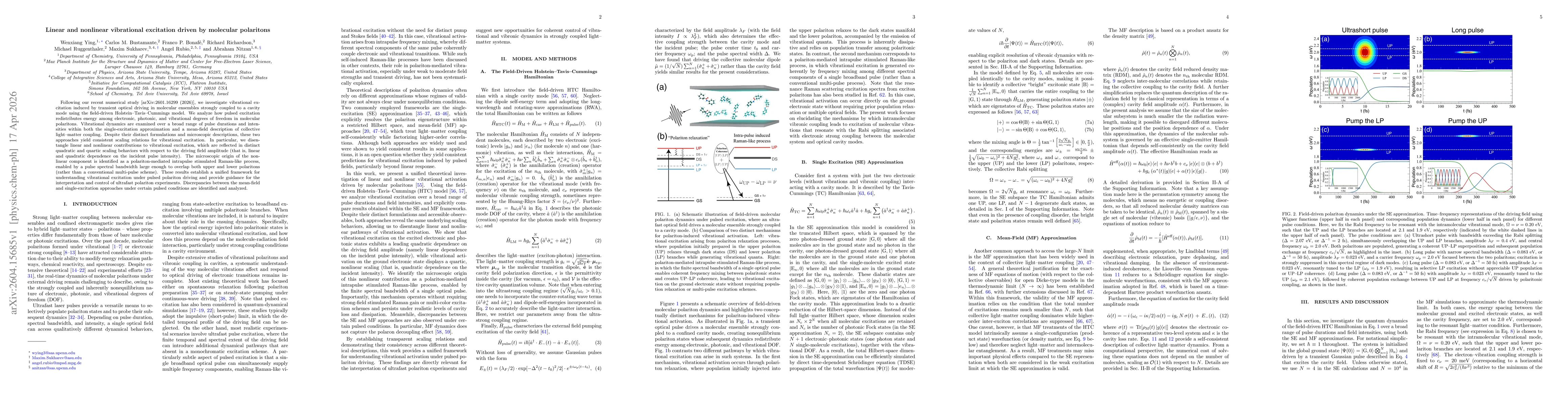 Thumbnail for Linear and nonlinear vibrational excitation driven by molecular polaritons
