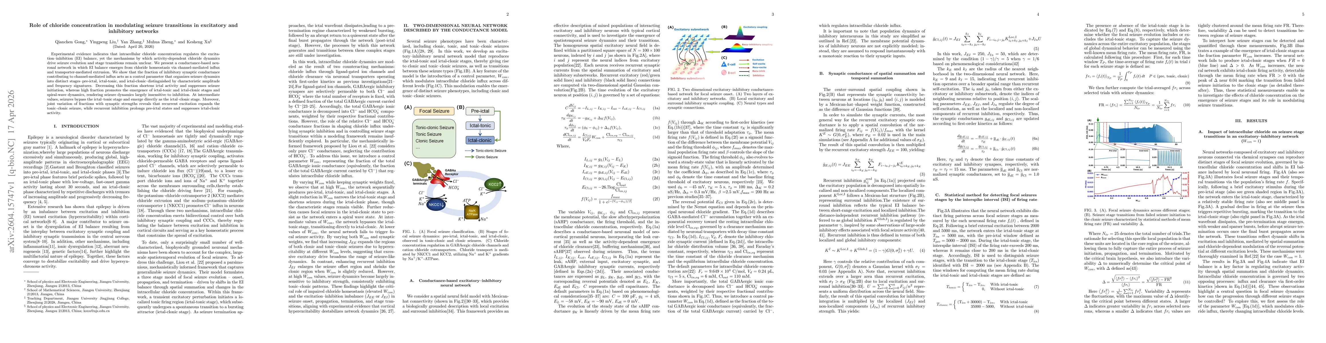 Thumbnail for Role of chloride concentration in modulating seizure transitions in excitatory and inhibitory networks