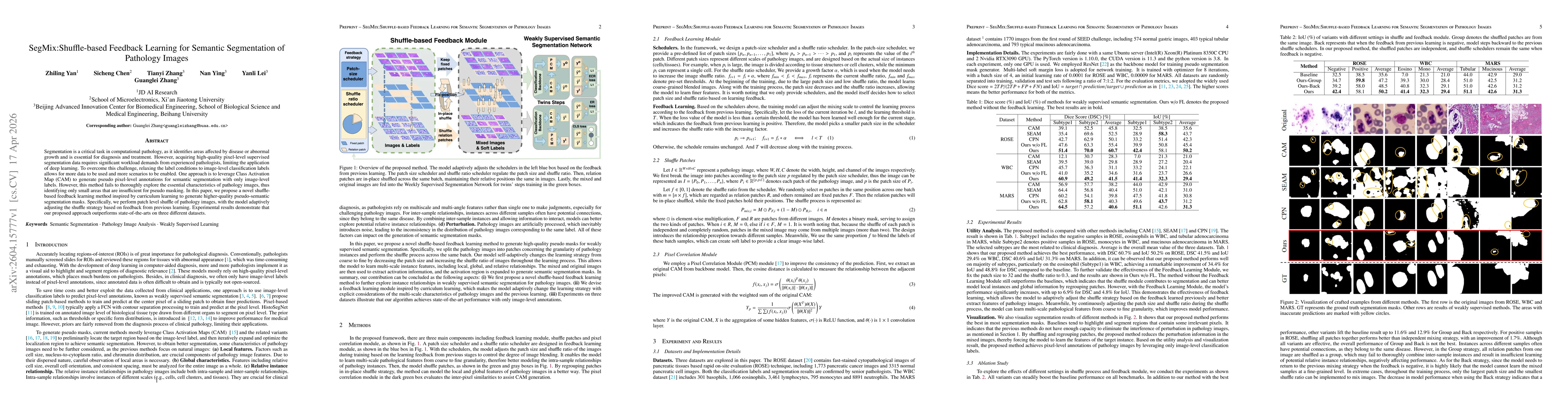 Thumbnail for SegMix:Shuffle-based Feedback Learning for Semantic Segmentation of Pathology Images